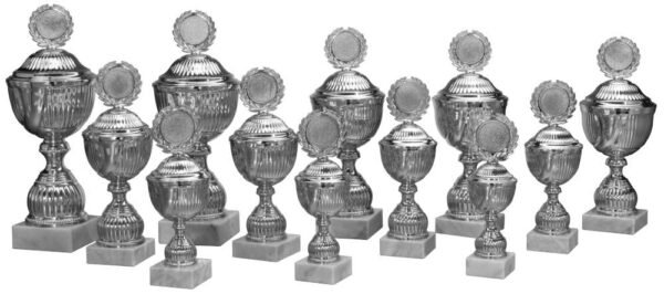 Pokal silber Anina