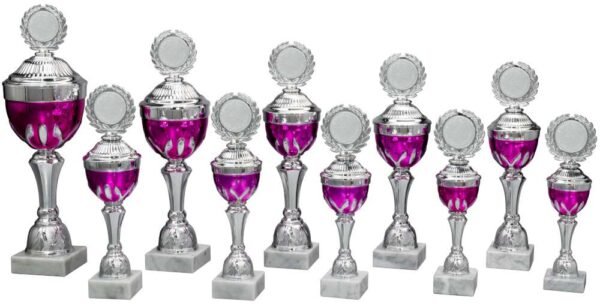 Pokal silber-pink Amaya