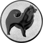 57262_product