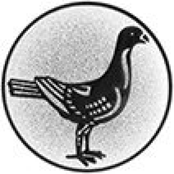 57431_product