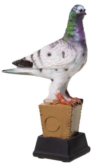 58758_product