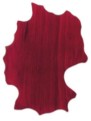 62174_product