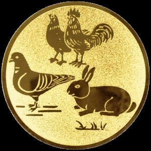 63245-1000