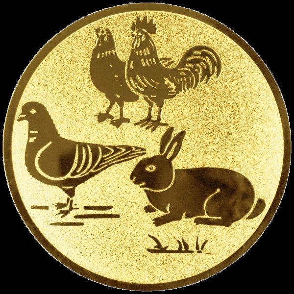 63245-1000