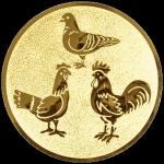 63251-1000