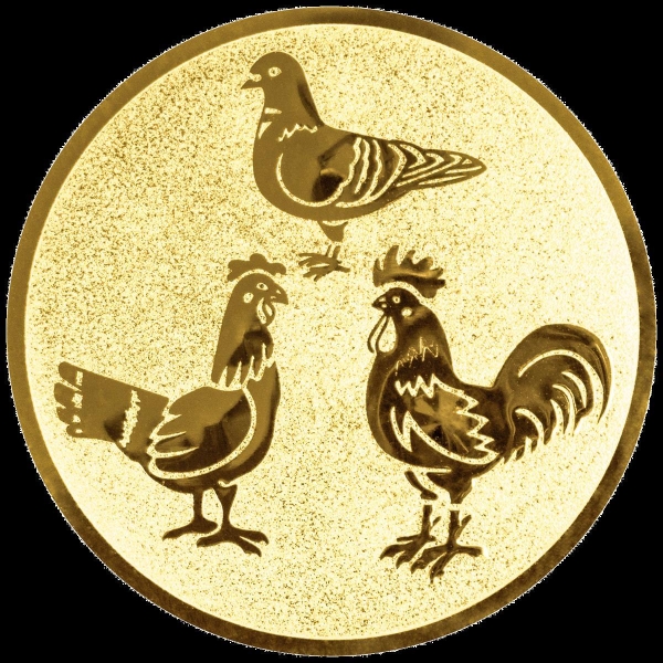 63251-1000