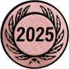 2025-bronze-thumbnail.jpg